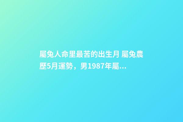 屬兔人命里最苦的出生月 屬兔農歷5月運勢，男1987年屬兔5月初二一生運勢-第1張-觀點-玄機派